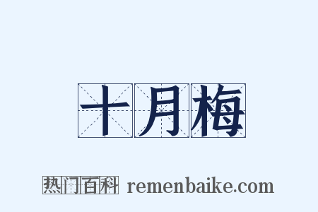 十月梅是什么意思的图片